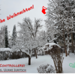 Weihnachtswünsche_Die_Controllerei